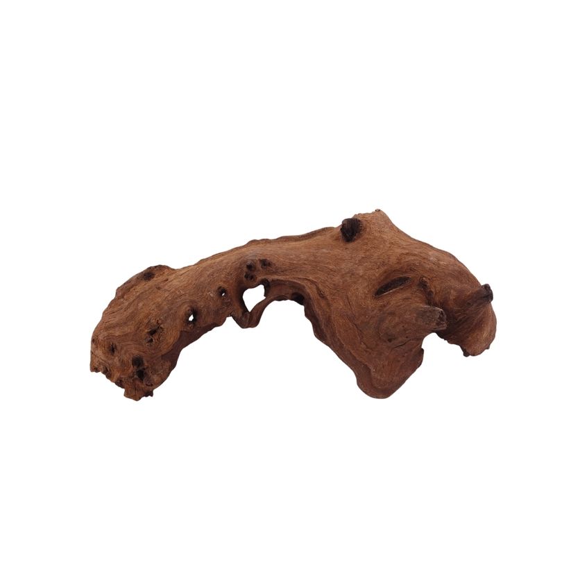 M Mopani Wurzel Nr.2765 Holz Deko Aquascaping