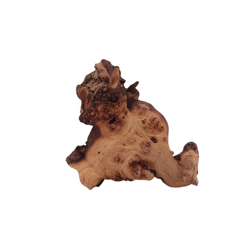 M Mopani Wurzel Nr.2766 Holz Deko Aquascaping