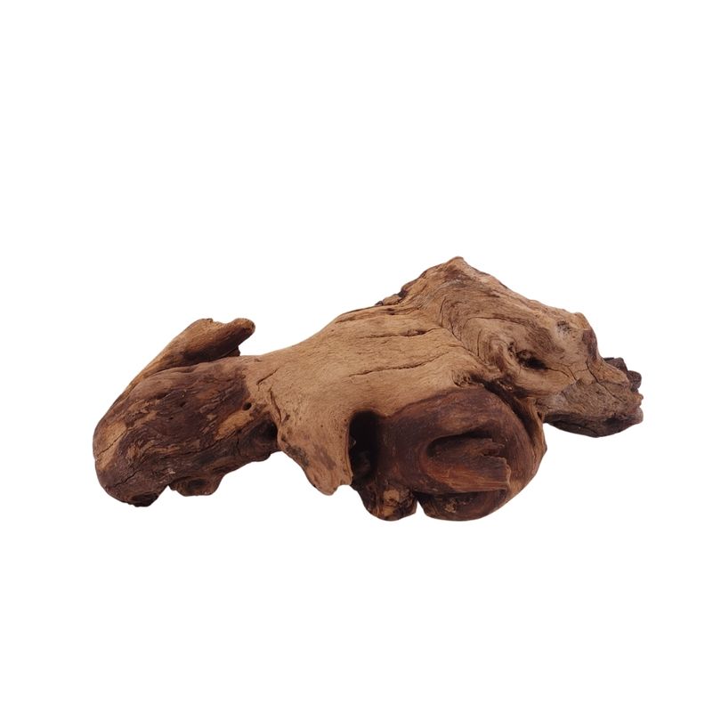M Mopani Wurzel Nr.2769 Holz Deko Aquascaping