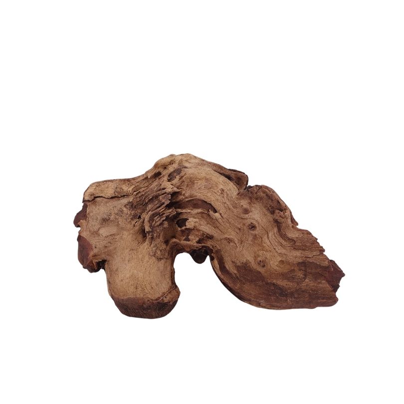 M Mopani Wurzel Nr.2770 Holz Deko Aquascaping