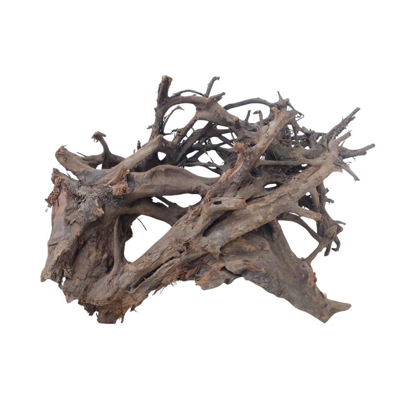 XL Mangrovenwurzel Nr.2892 Holz Deko Aquascaping
