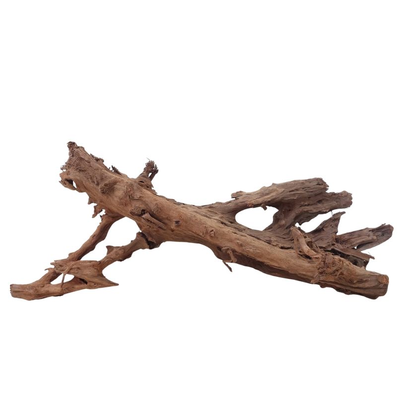 XL Mangrovenwurzel Nr.2899 Holz Deko Aquascaping