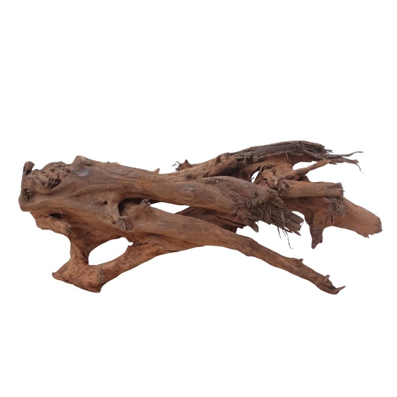 XL Mangrovenwurzel Nr.2902 Holz Deko Aquascaping