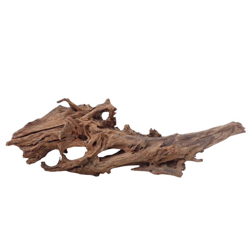 XL Mangrovenwurzel Nr.2903 Holz Deko Aquascaping