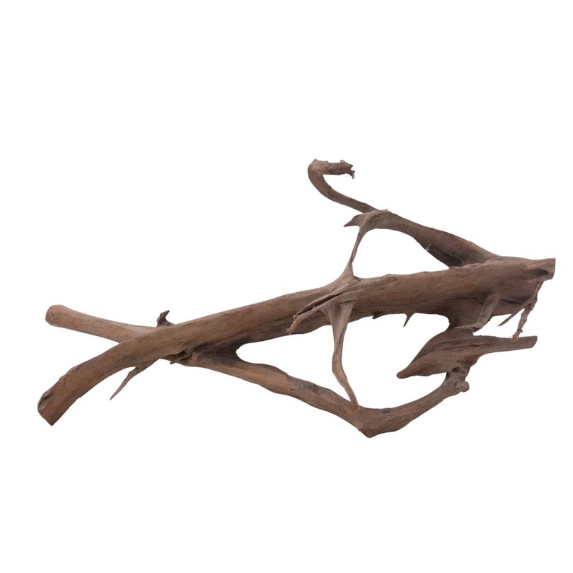 XL Mangrovenwurzel Nr.2907 Holz Deko Aquascaping