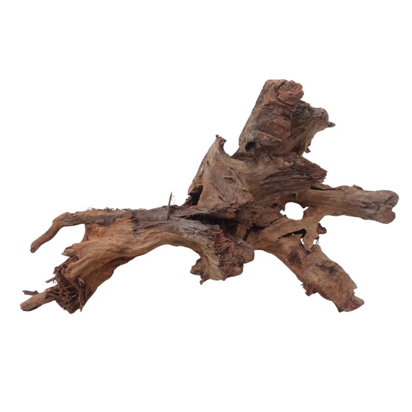 XL Mangrovenwurzel Nr.2911 Holz Deko Aquascaping