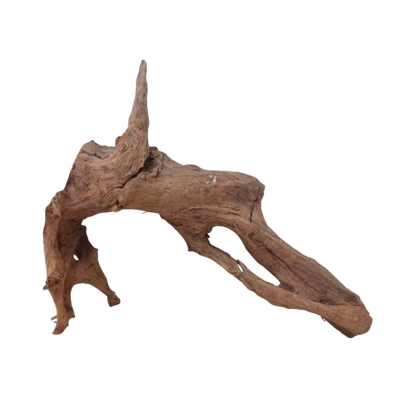 XL Mangrovenwurzel Nr.2915 Holz Deko Aquascaping