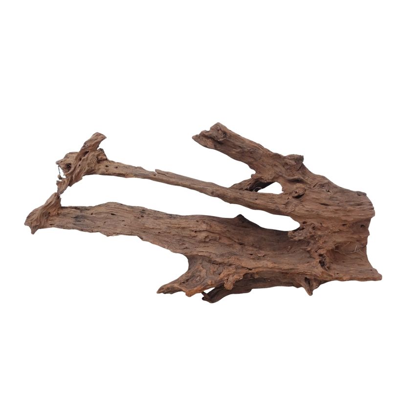 XL Mangrovenwurzel Nr.2919 Holz Deko Aquascaping