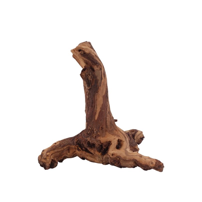L Mopani Wurzel Nr.2817 Holz Deko Aquascaping