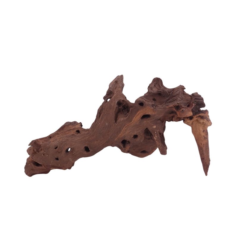 L Mopani Wurzel Nr.2822 Holz Deko Aquascaping