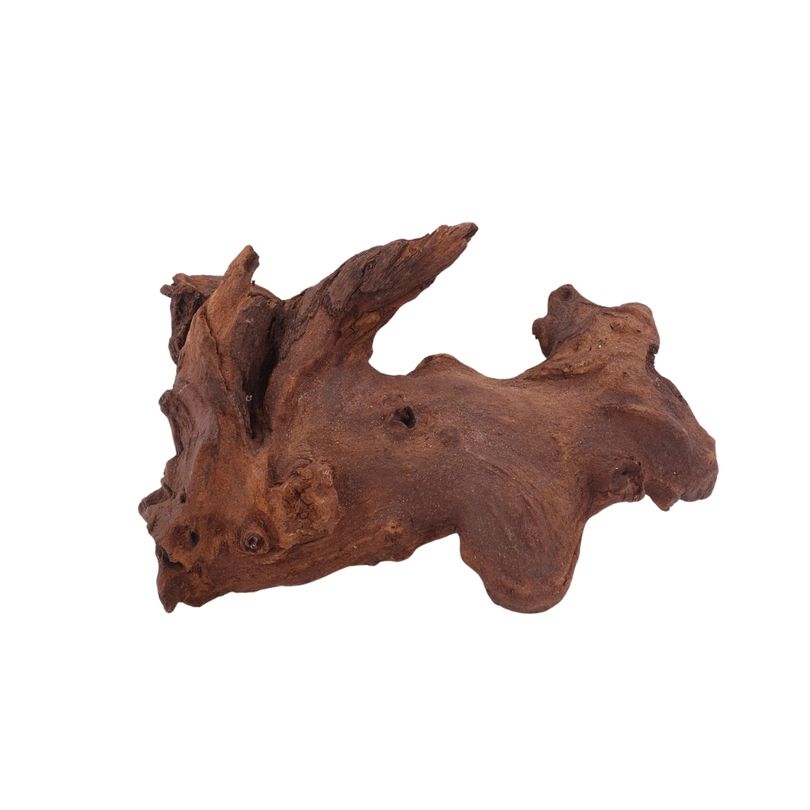 L Mopani Wurzel Nr.2825 Holz Deko Aquascaping