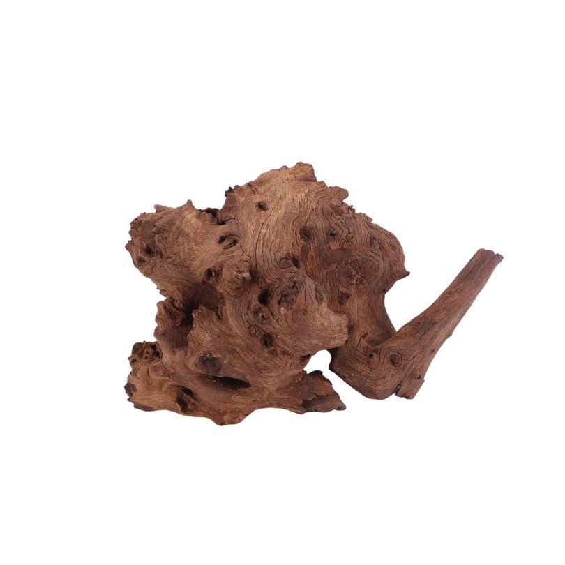 L Mopani Wurzel Nr.2827 Holz Deko Aquascaping