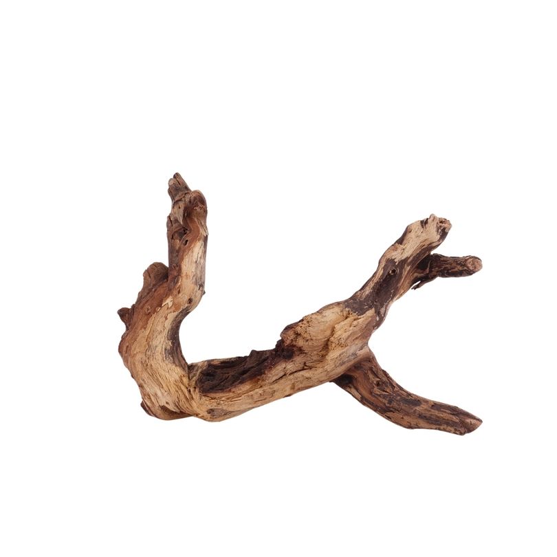 L Mopani Wurzel Nr.2833 Holz Deko Aquascaping