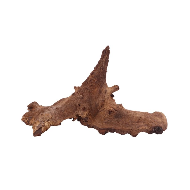L Mopani Wurzel Nr.2834 Holz Deko Aquascaping