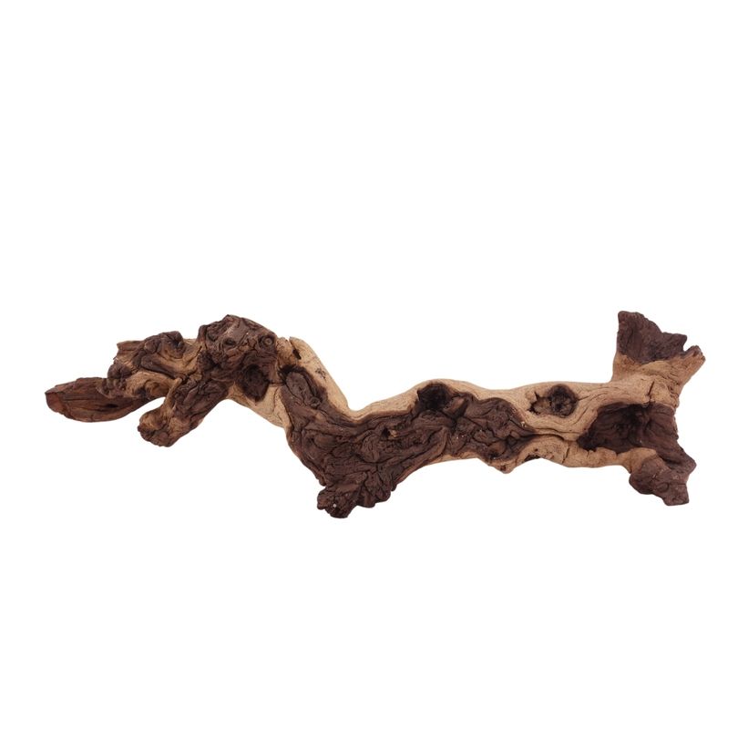 L Mopani Wurzel Nr.2835 Holz Deko Aquascaping