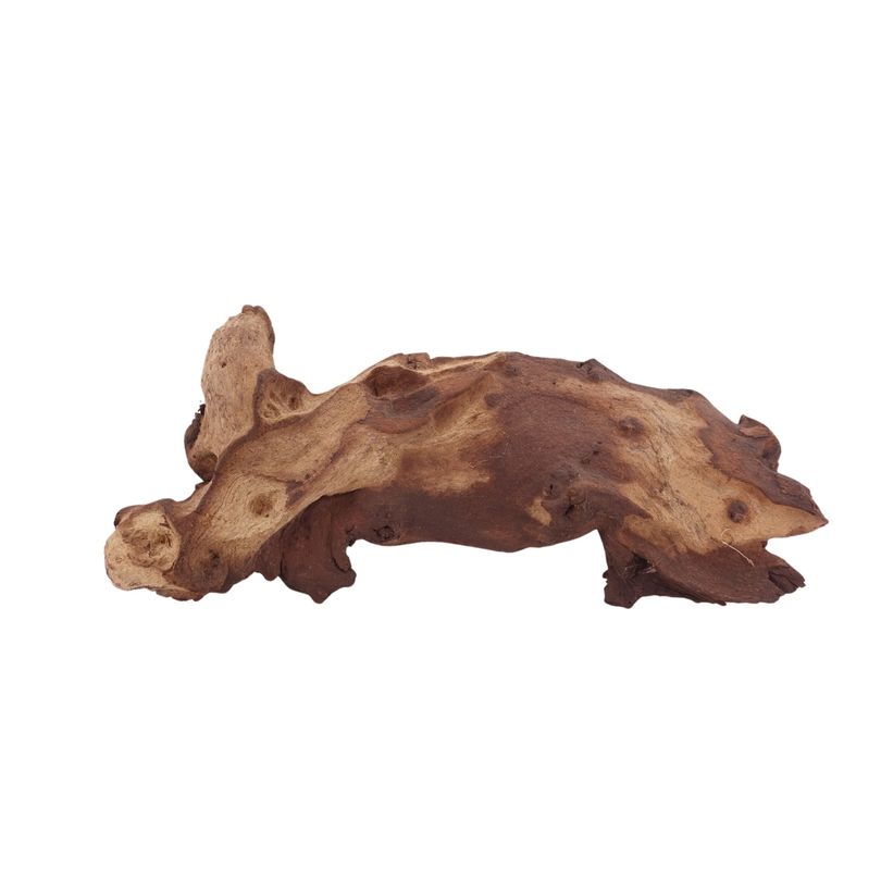 L Mopani Wurzel Nr.2836 Holz Deko Aquascaping