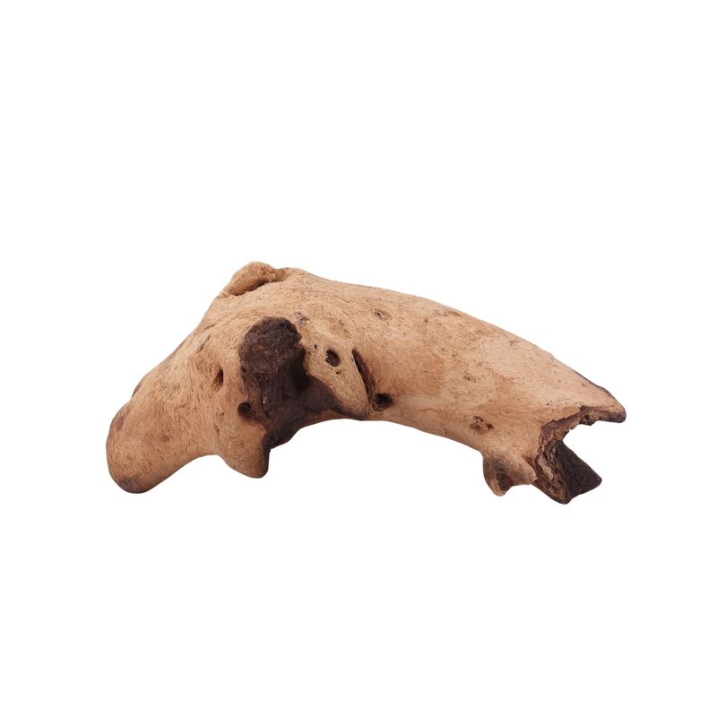 L Mopani Wurzel Nr.2839 Holz Deko Aquascaping