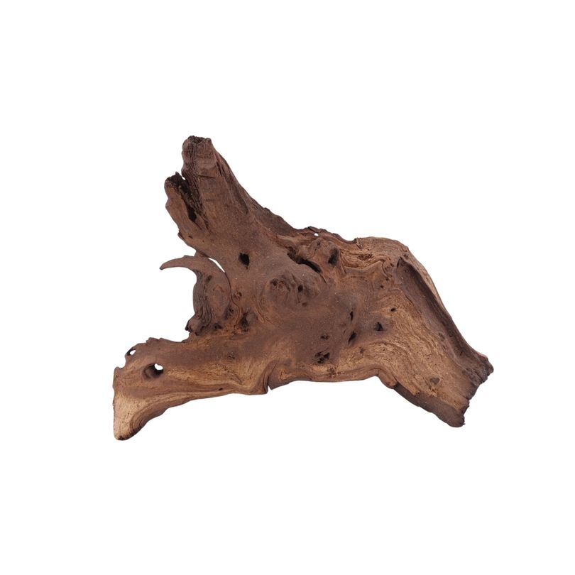 L Mopani Wurzel Nr.2843 Holz Deko Aquascaping