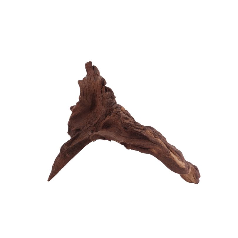 L Mopani Wurzel Nr.2844 Holz Deko Aquascaping