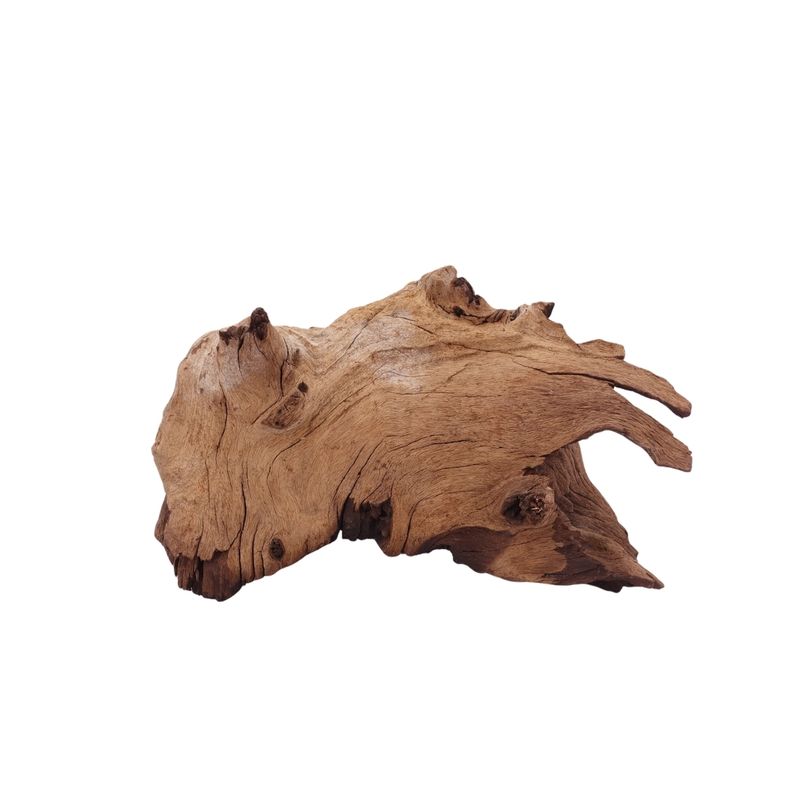 L Mopani Wurzel Nr.2845 Holz Deko Aquascaping
