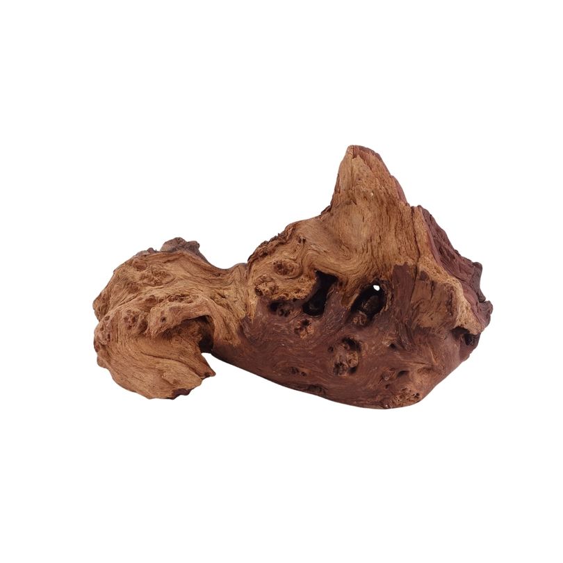 L Mopani Wurzel Nr.2851 Holz Deko Aquascaping