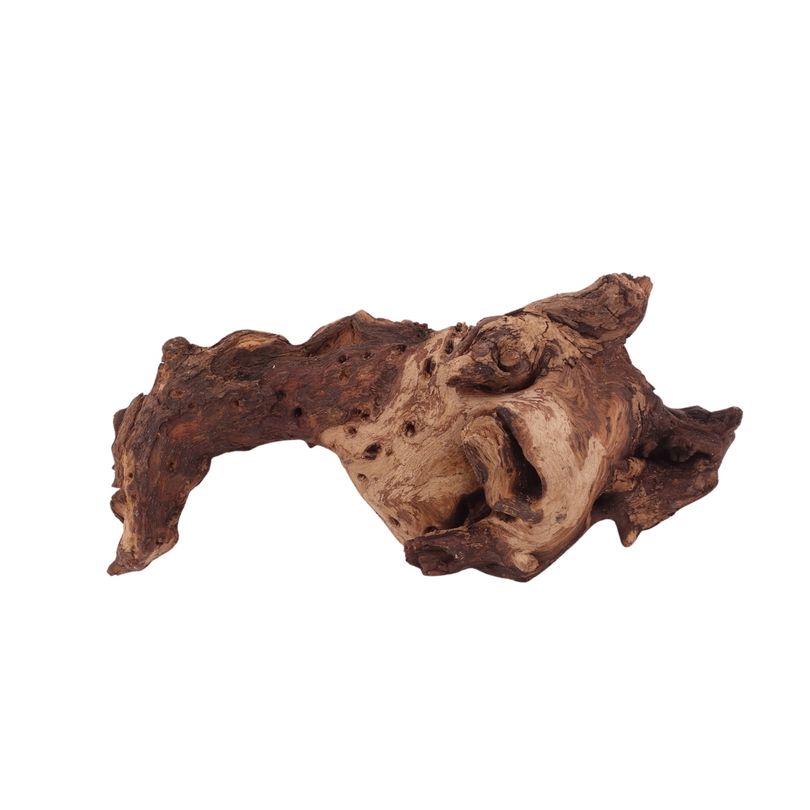 L Mopani Wurzel Nr.2854 Holz Deko Aquascaping