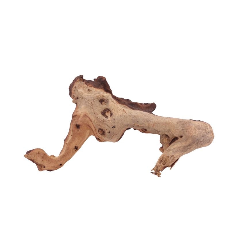L Mopani Wurzel Nr.2855 Holz Deko Aquascaping