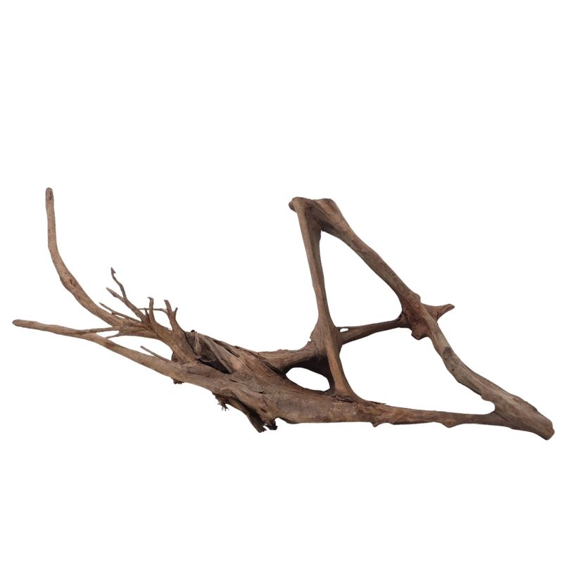 XXL Mangrovenwurzel Nr.2926 Holz Deko Aquascaping