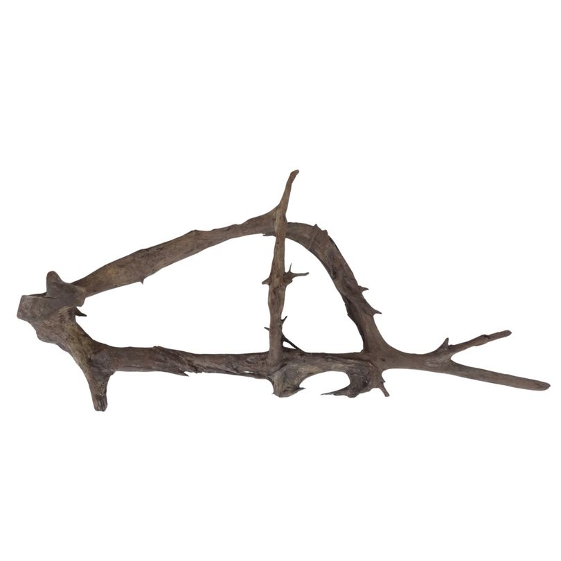 XXL Mangrovenwurzel Nr.2929 Holz Deko Aquascaping