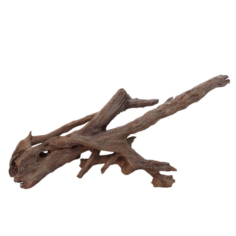 XXL Mangrovenwurzel Nr.2932 Holz Deko Aquascaping