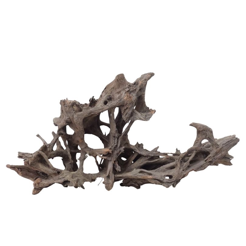 XXL Mangrovenwurzel Nr.2934 Holz Deko Aquascaping