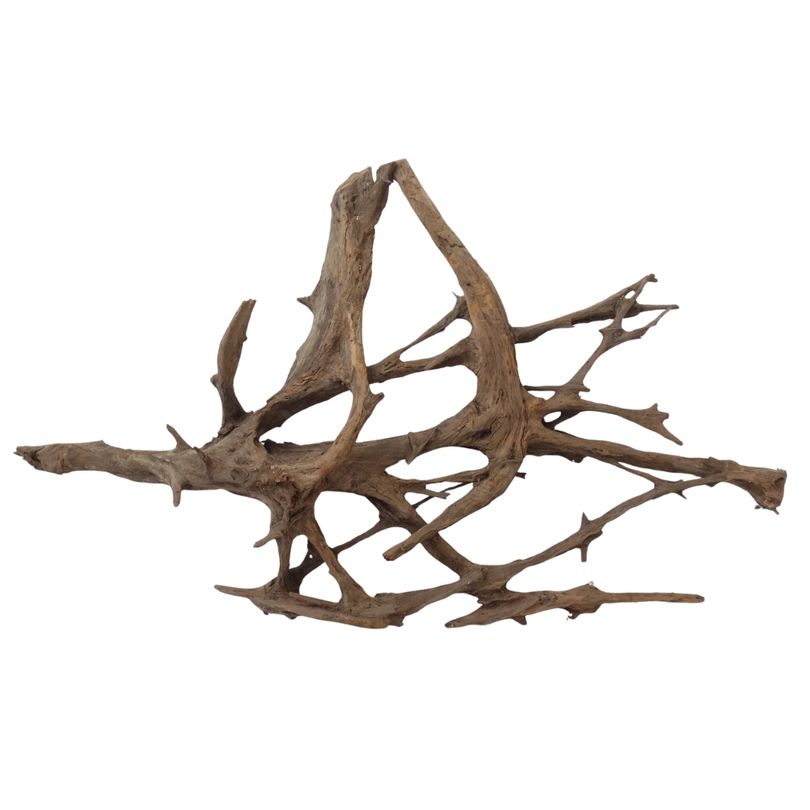 XXL Mangrovenwurzel Nr.2936 Holz Deko Aquascaping