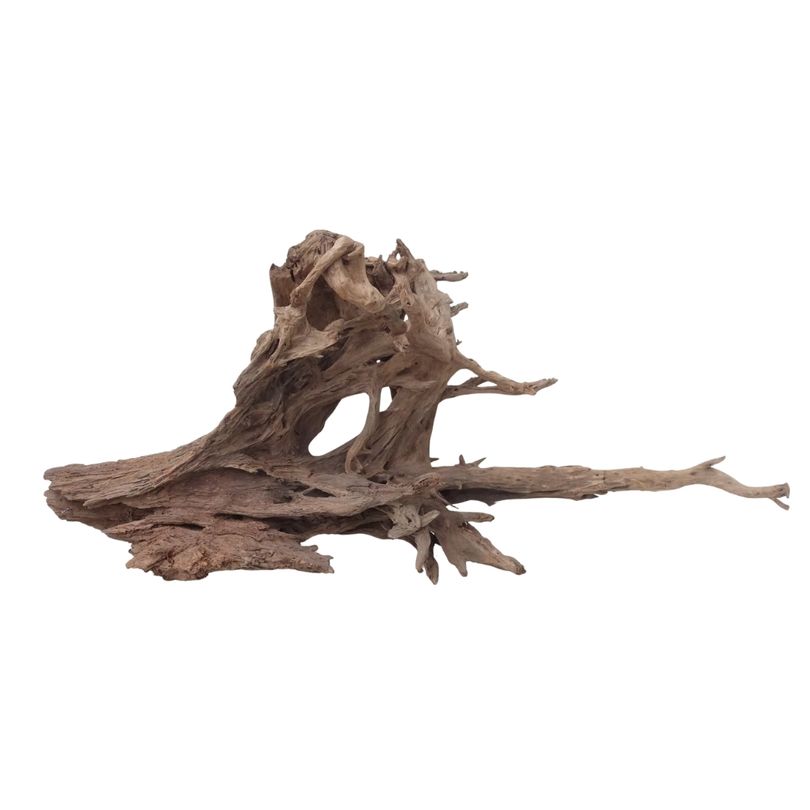 XXL Mangrovenwurzel Nr.2937 Holz Deko Aquascaping