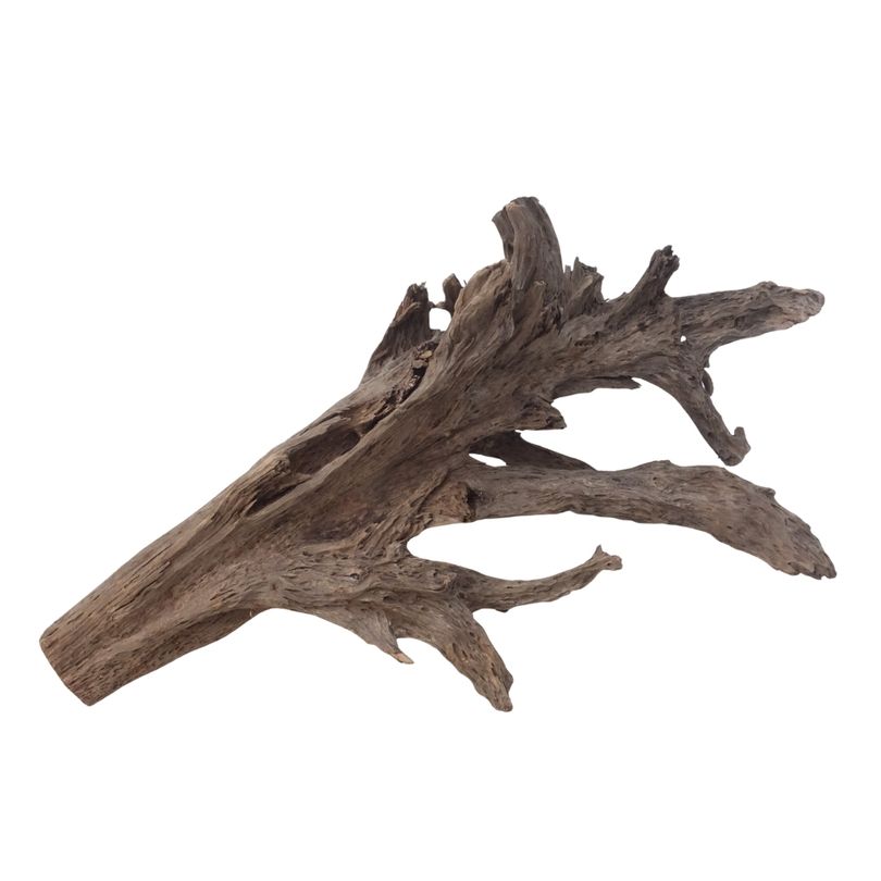 XXL Mangrovenwurzel Nr.2938 Holz Deko Aquascaping