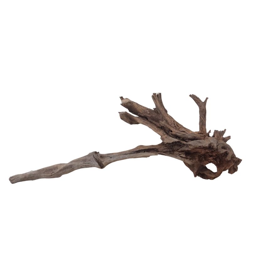XXL Mangrovenwurzel Nr.2943 Holz Deko Aquascaping