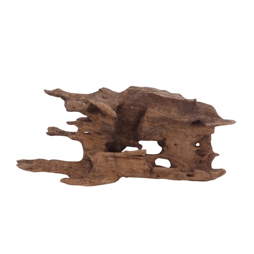 M Honey Comb Wurzel Nr.2943 Holz Deko Aquascaping