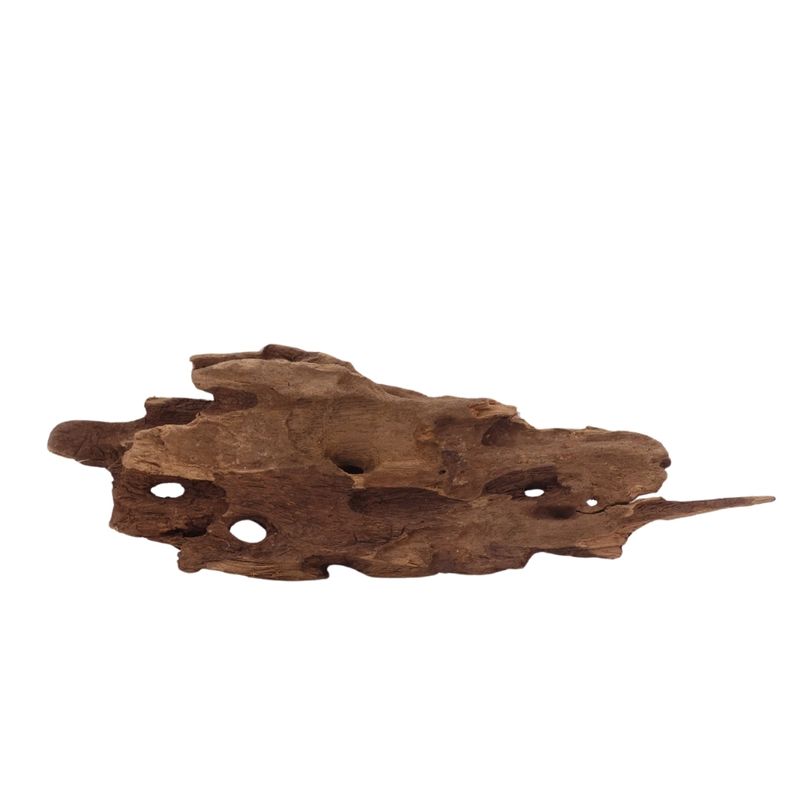 M Honey Comb Wurzel Nr.2946 Holz Deko Aquascaping