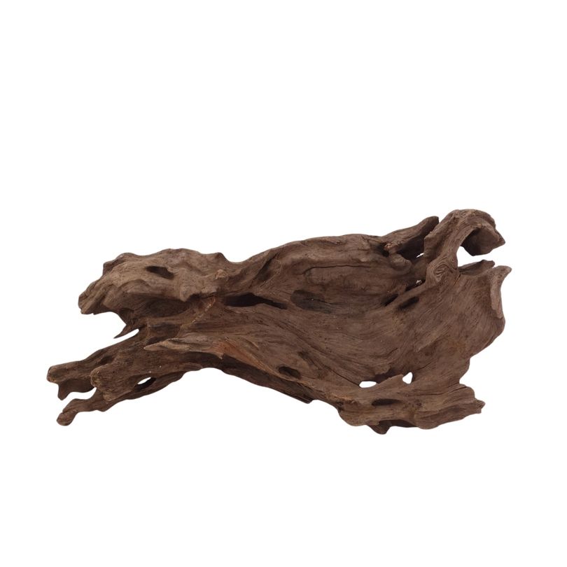 M Honey Comb Wurzel Nr.2947 Holz Deko Aquascaping