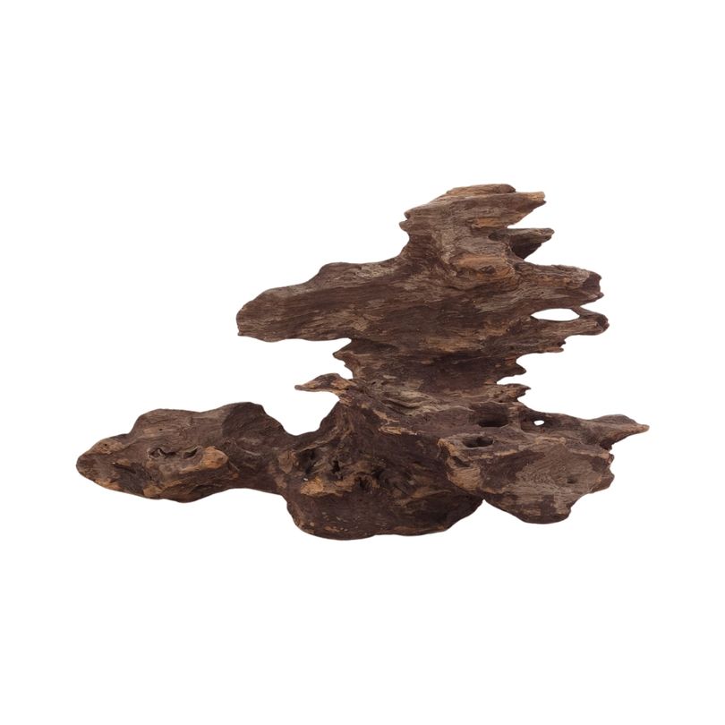 M Honey Comb Wurzel Nr.2948 Holz Deko Aquascaping