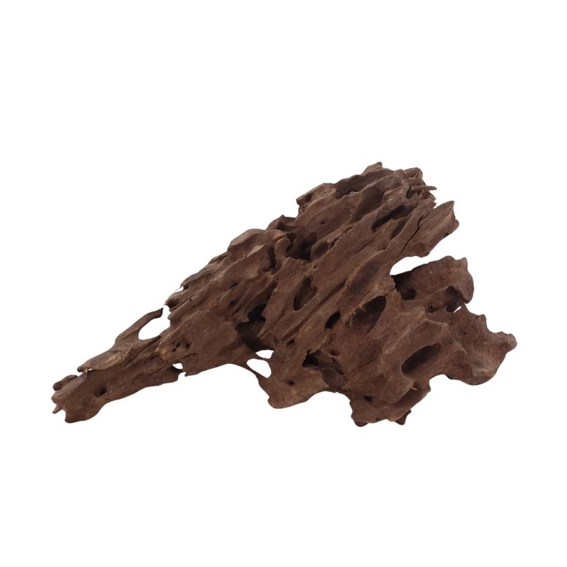 M Honey Comb Wurzel Nr.2950 Holz Deko Aquascaping