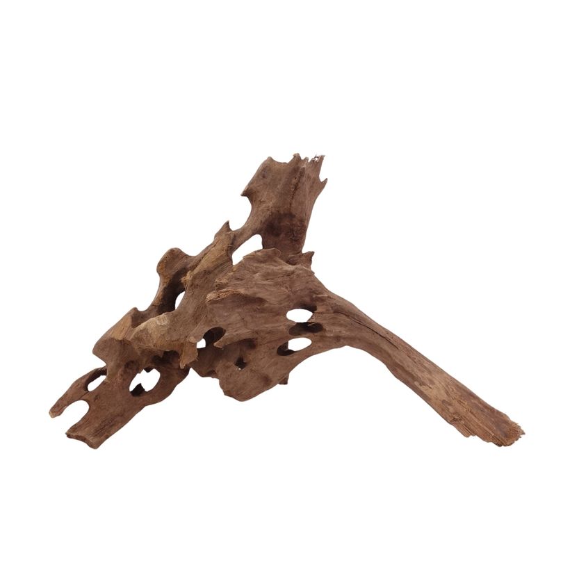 M Honey Comb Wurzel Nr.2952 Holz Deko Aquascaping