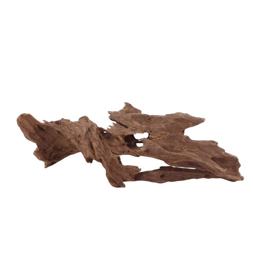 M Honey Comb Wurzel Nr.2953 Holz Deko Aquascaping