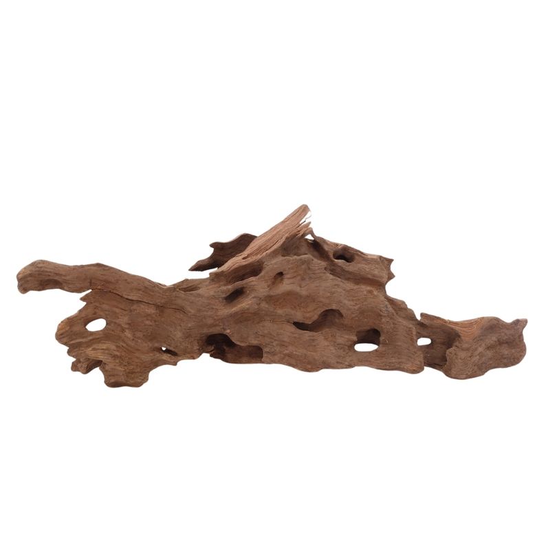 M Honey Comb Wurzel Nr.2955 Holz Deko Aquascaping