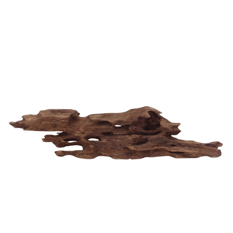 M Honey Comb Wurzel Nr.2956 Holz Deko Aquascaping