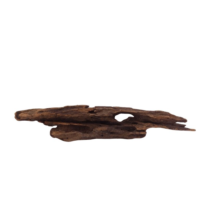 M Honey Comb Wurzel Nr.2957 Holz Deko Aquascaping