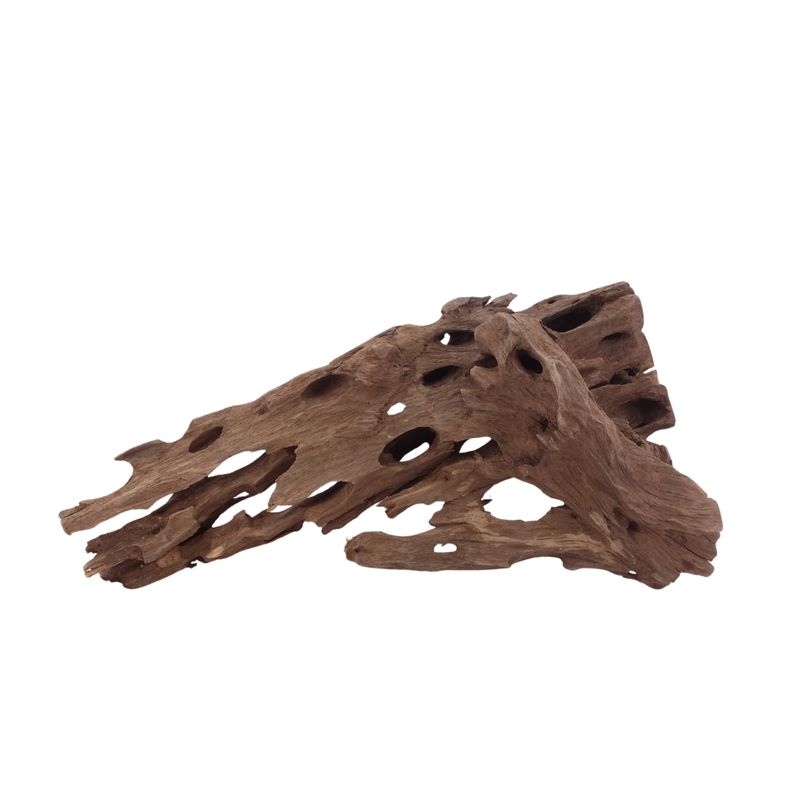 M Honey Comb Wurzel Nr.2959 Holz Deko Aquascaping