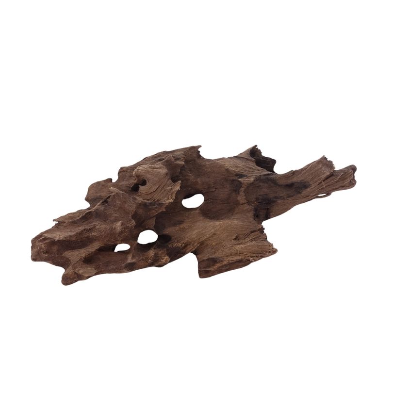 M Honey Comb Wurzel Nr.2960 Holz Deko Aquascaping