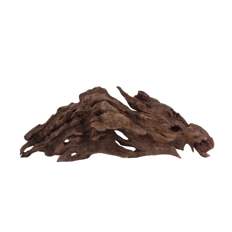 M Honey Comb Wurzel Nr.2964 Holz Deko Aquascaping