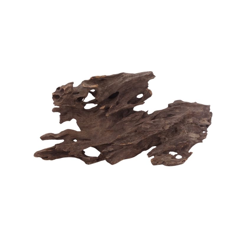 M Honey Comb Wurzel Nr.2965 Holz Deko Aquascaping