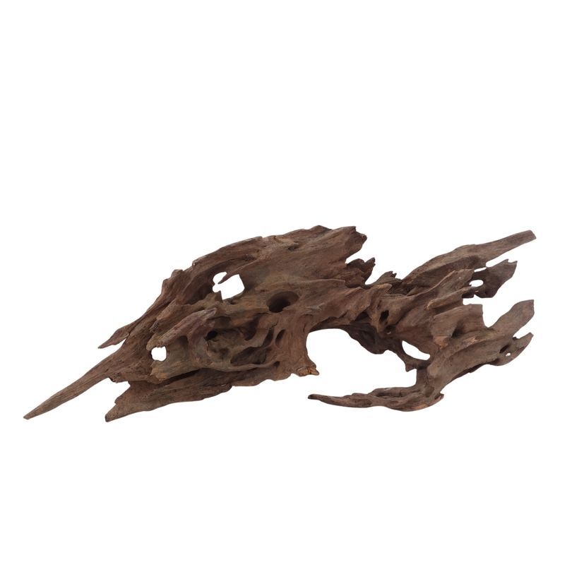 M Honey Comb Wurzel Nr.2966 Holz Deko Aquascaping